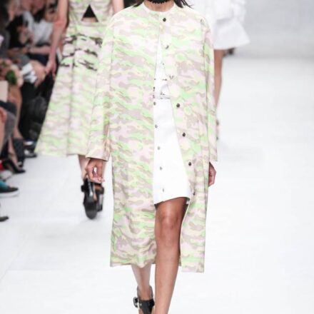 La riga intrecciata, vista sulle passerelle