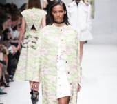 La riga intrecciata, vista sulle passerelle